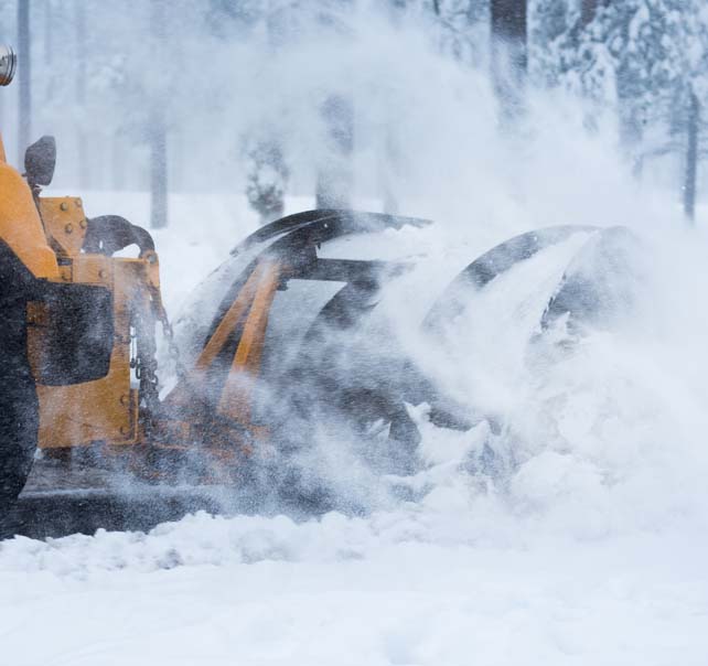 Chick Factor - Snow Removal